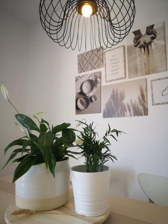 Apartamento Suite Arco De La Villa,Solo Familia Y Parejas,Parking Gratuito Conil De La Frontera Exteriér fotografie